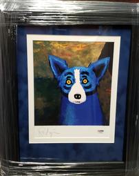 BLUE DOG AUTOGRAPHED 202//255